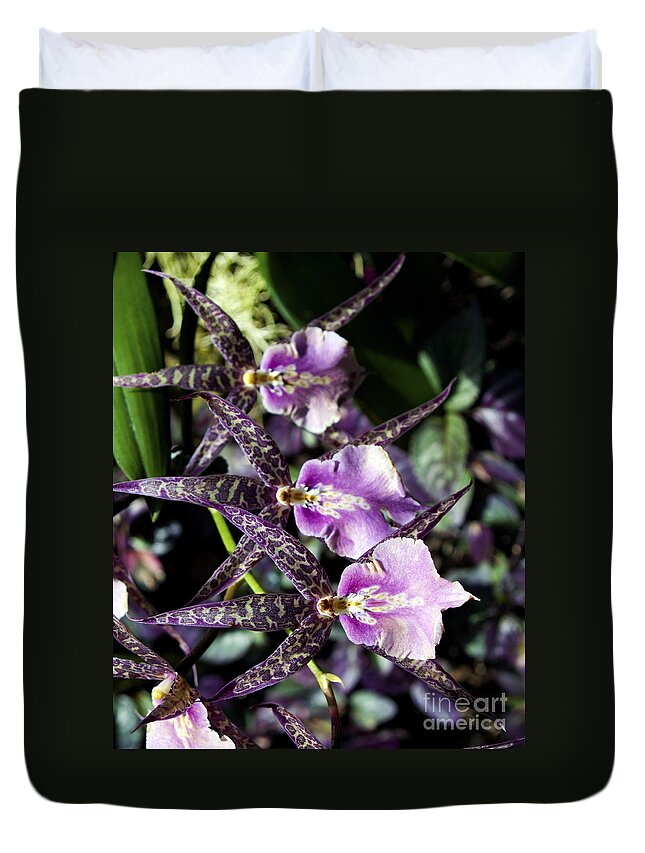 Fine Art Photography Duvet Cover featuring the photograph The Three Musketeers #1 by Patricia Griffin Brett