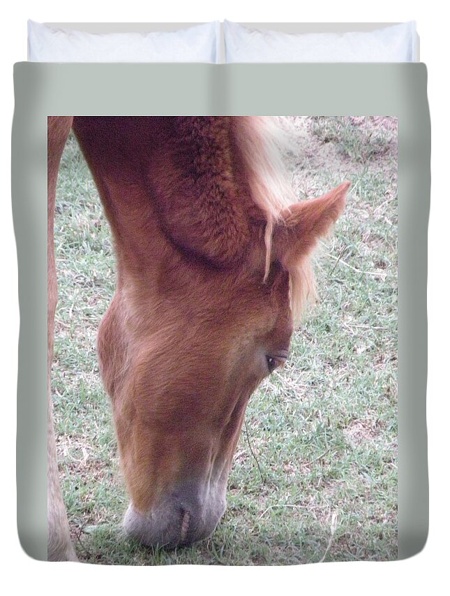 Mustang Duvet Cover featuring the photograph Wild Spanish Mustang foal of the Outer Banks of North Carolina #1 by Kim Galluzzo