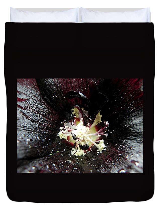 Black Duvet Cover featuring the photograph After The Rain #2 by Kim Galluzzo