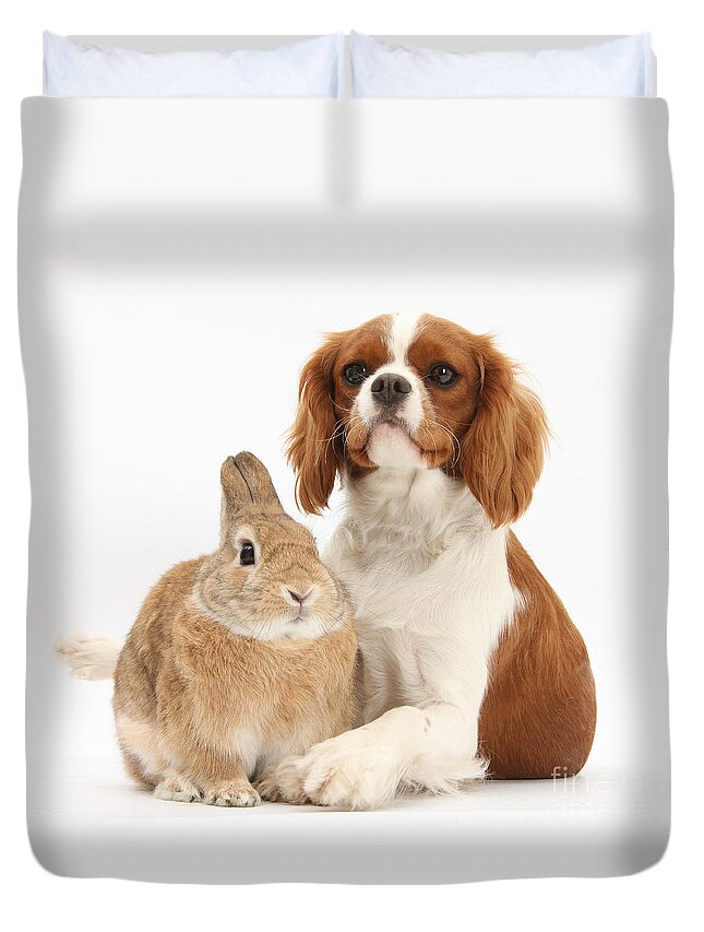Nature Duvet Cover featuring the photograph Cavalier King Charles Spaniel #2 by Mark Taylor