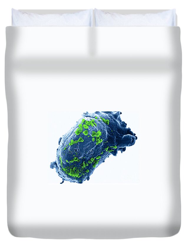 Sem Duvet Cover featuring the photograph Lymphocyte With Hiv Cluster #2 by Science Source