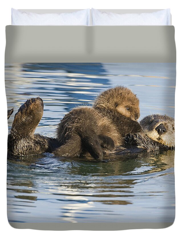 00429659 Duvet Cover featuring the photograph Sea Otter Mother And Pup Elkhorn Slough by Sebastian Kennerknecht