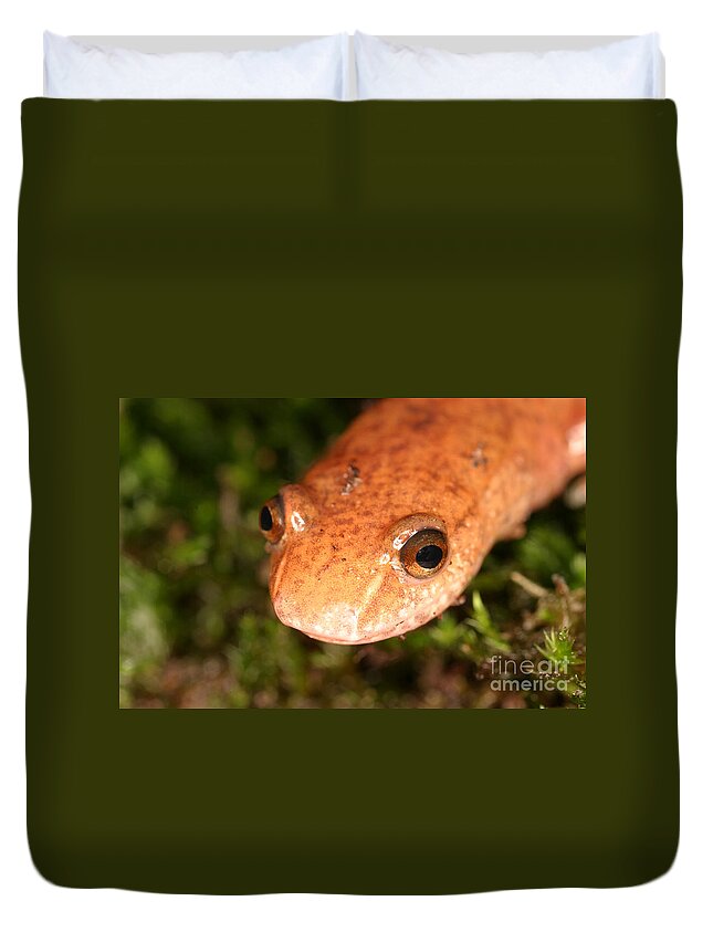 Animal Duvet Cover featuring the photograph Spring Salamander #2 by Ted Kinsman
