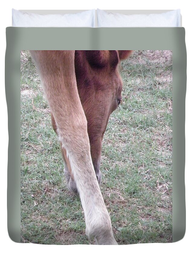 Wild Duvet Cover featuring the photograph Wild Spanish Mustang Foal of the Outer Banks of North Carolina #2 by Kim Galluzzo