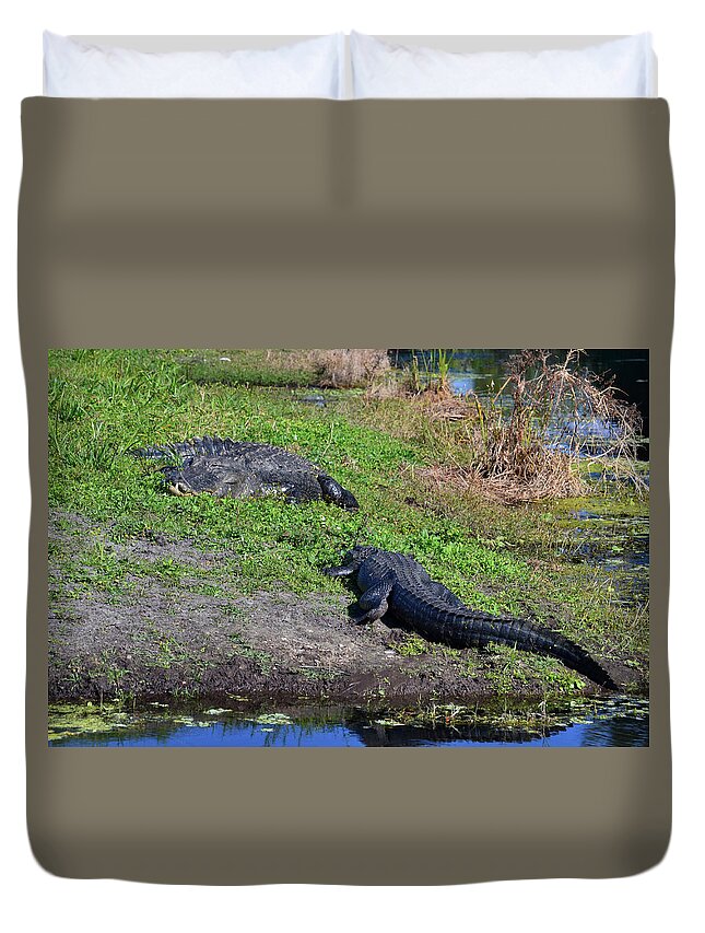 Grassy Waters Preserve Duvet Cover featuring the photograph 29- Snaggletooth and Friend by Joseph Keane