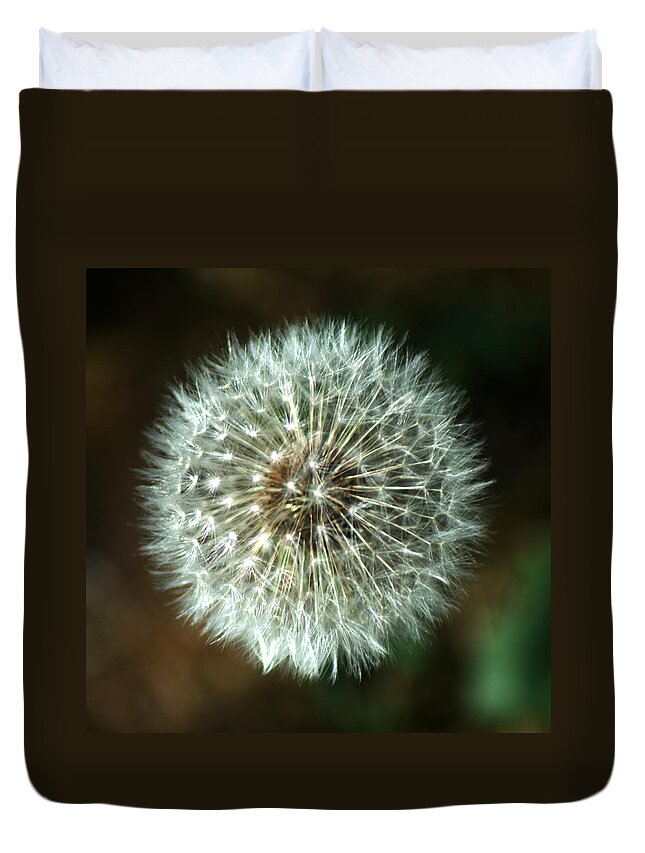 Dandelion Duvet Cover featuring the photograph Dandelion seed head #3 by Chris Day