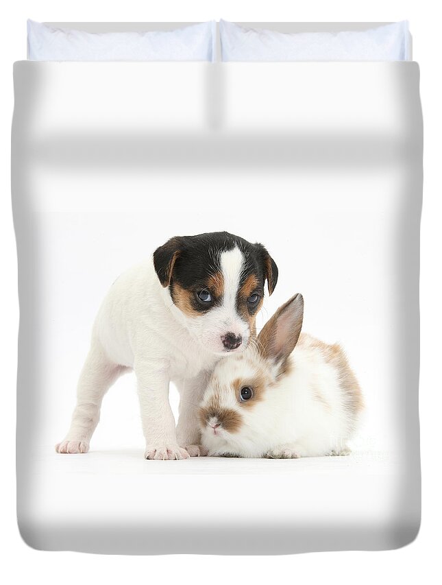 Jack Russell Terrier Puppy And Baby Duvet Cover For Sale By Mark