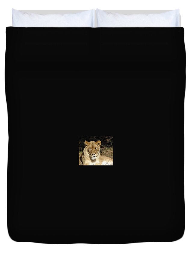 Lioness Duvet Cover featuring the photograph Lioness by Kim Galluzzo Wozniak