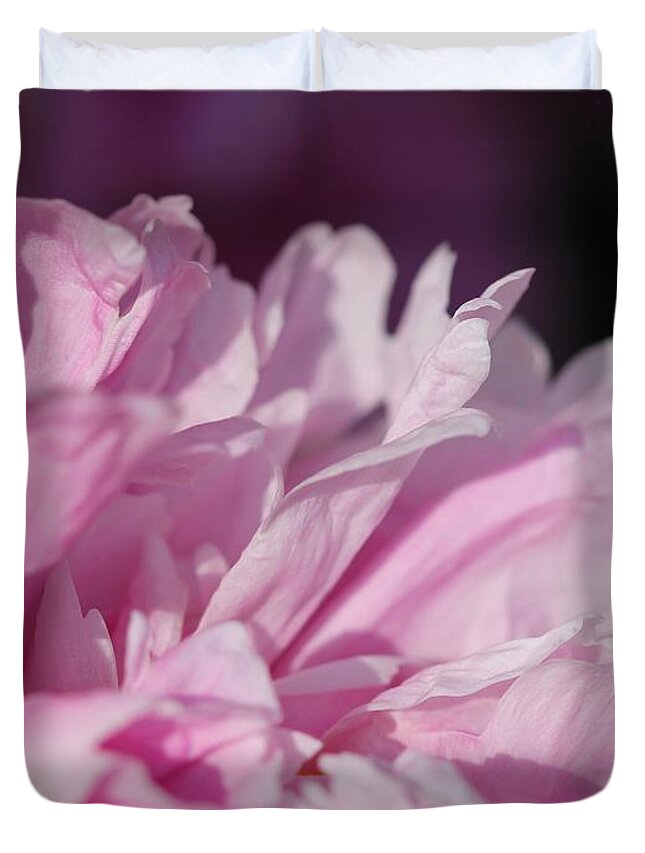 Peony Duvet Cover featuring the photograph Peony named Shirley Temple #3 by J McCombie