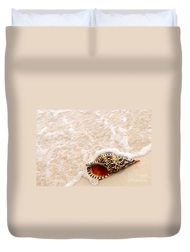 Seashell Duvet Cover featuring the photograph Seashell and ocean wave 1 by Elena Elisseeva