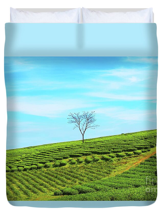 Tea Duvet Cover featuring the photograph Tea plantation #3 by MotHaiBaPhoto Prints