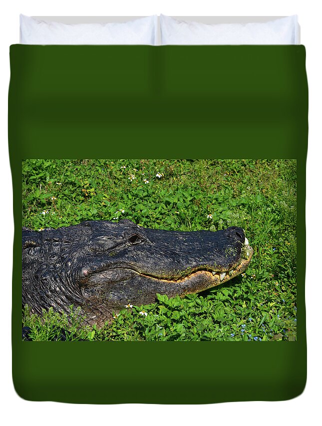  Duvet Cover featuring the photograph 34- Flower Gator by Joseph Keane