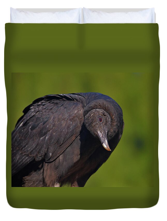  Duvet Cover featuring the photograph 37- Black Vulture by Joseph Keane