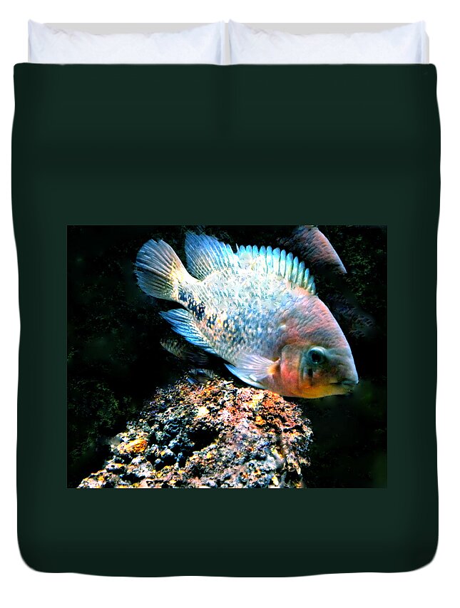 Colette Duvet Cover featuring the photograph Fish living in Denmark #4 by Colette V Hera Guggenheim