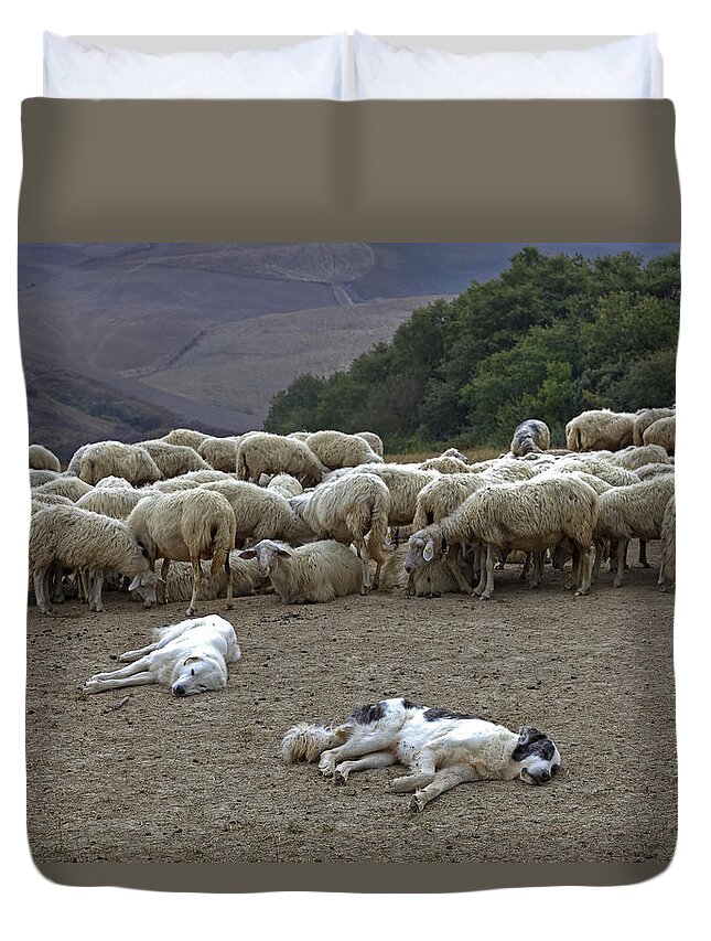 Flock Of Sheep Duvet Cover For Sale By Joana Kruse