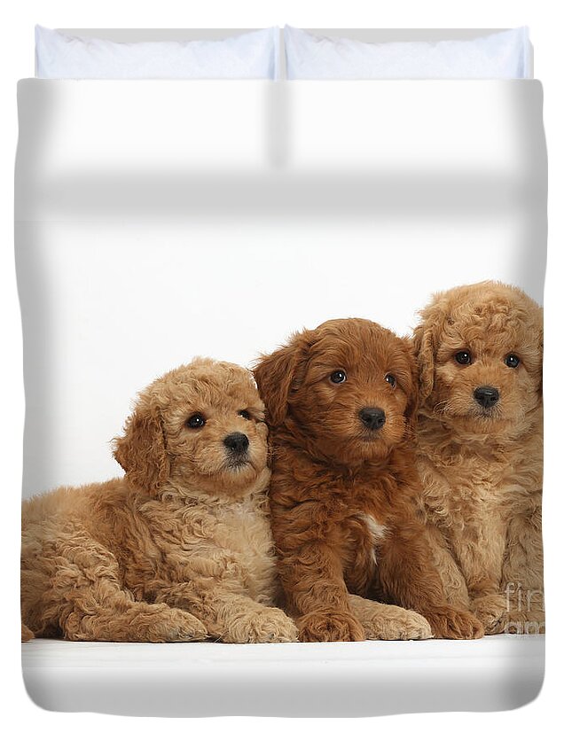 Animal Duvet Cover featuring the Goldendoodle Puppies #4 by Mark Taylor