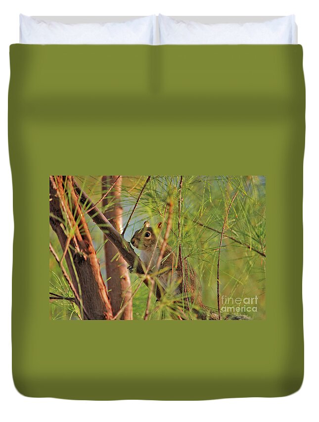 Squirrels Duvet Cover featuring the photograph 4- Incognito by Joseph Keane