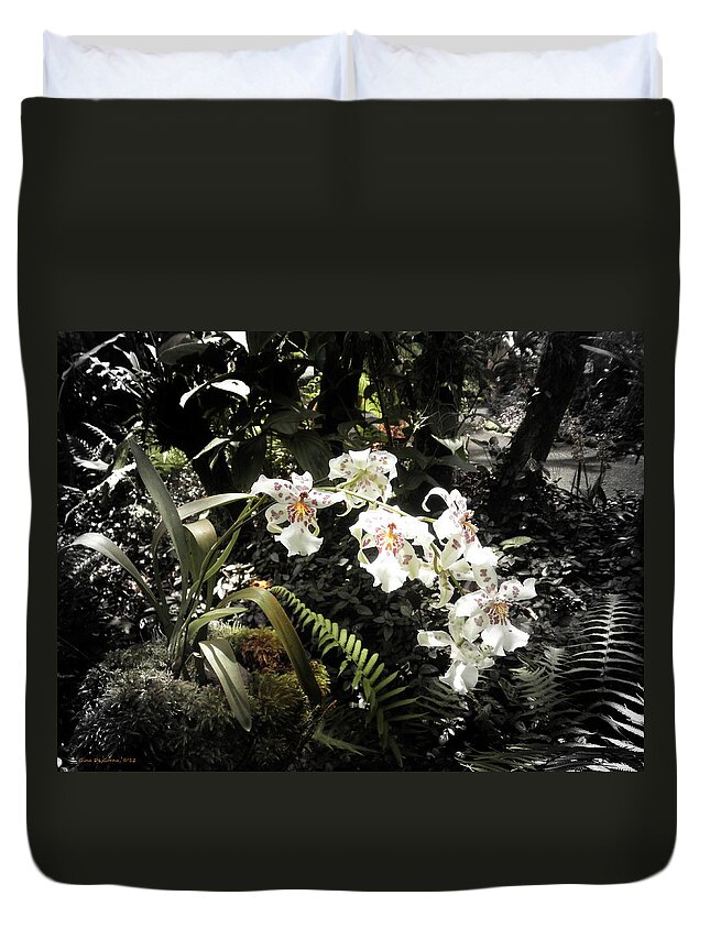 Flowers Duvet Cover featuring the photograph Orchids #4 by Gina De Gorna