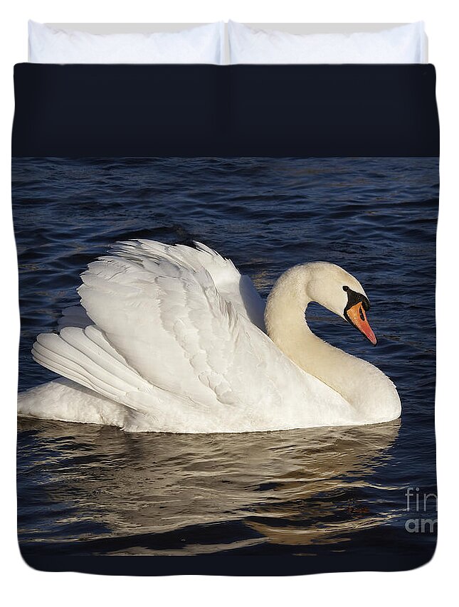 Nature Duvet Cover featuring the photograph Swan #4 by Michal Boubin