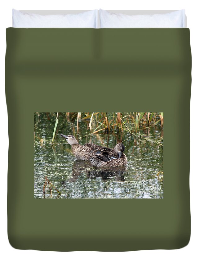 Teal Duvet Cover featuring the photograph Teal ducks #4 by Lori Tordsen