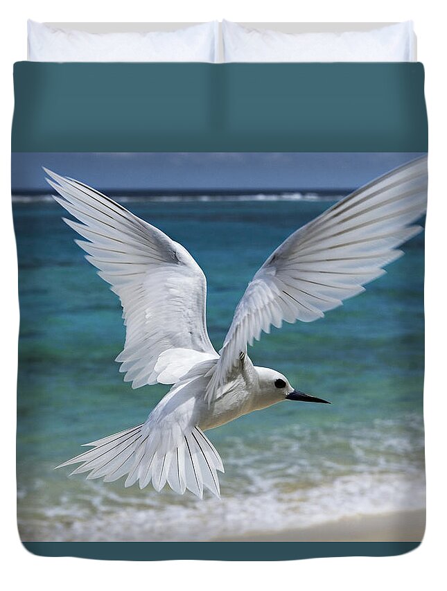 00429765 Duvet Cover featuring the photograph White Tern Flying Midway Atoll Hawaiian #4 by Sebastian Kennerknecht
