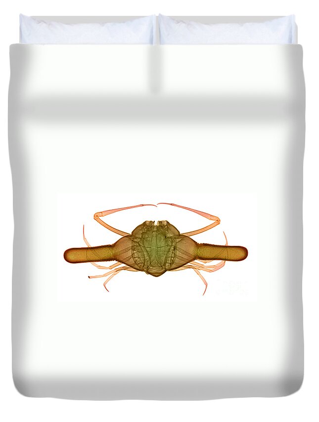 Xray Duvet Cover featuring the photograph X-ray Of Deep Water Crab #5 by Ted Kinsman