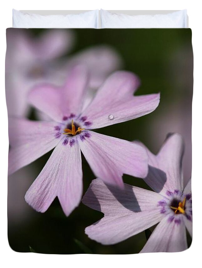 Creeping Phlox Duvet Cover featuring the photograph Creeping Phlox #5 by J McCombie