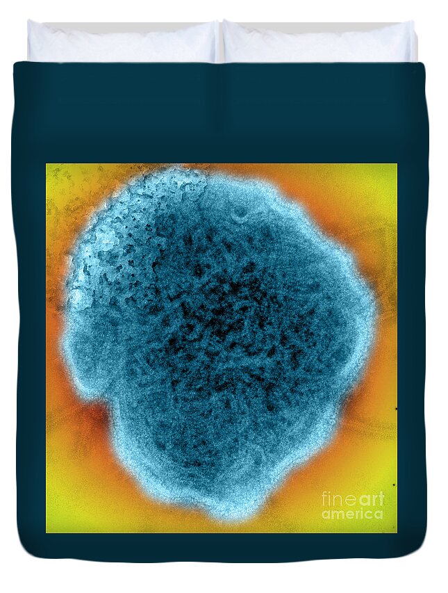 Science Duvet Cover featuring the Mumps Virus, Tem #7 by Science Source