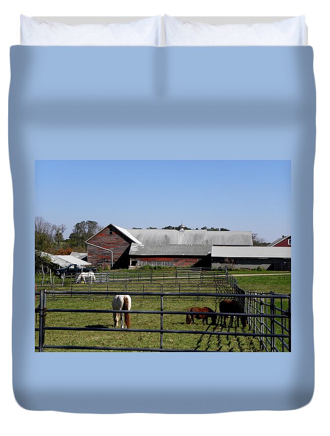 Graze Duvet Cover featuring the photograph A Beautiful Fall Day For A Graze by Kim Galluzzo