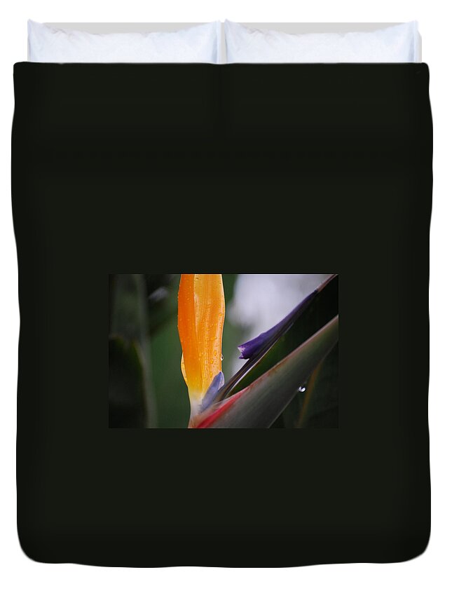 Strelitzia Duvet Cover featuring the photograph A Bird of Paradise I by Michelle Wrighton