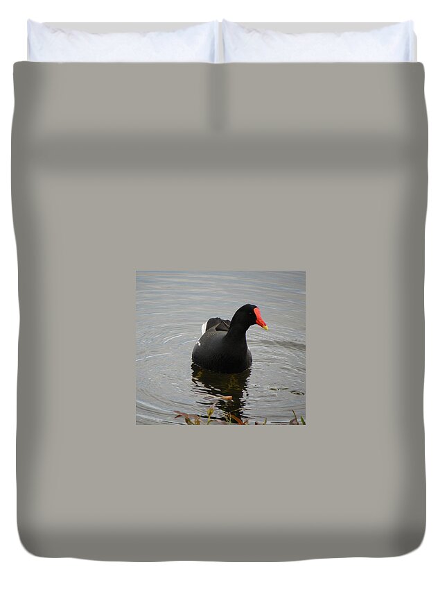 Moorehen Duvet Cover featuring the photograph A Day Alone by Kim Galluzzo