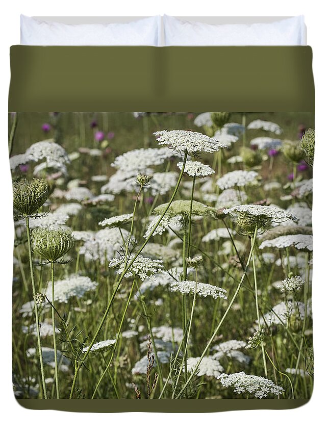 Daucus Carota Duvet Cover featuring the photograph A Field of Queen Annes Lace by Kathy Clark