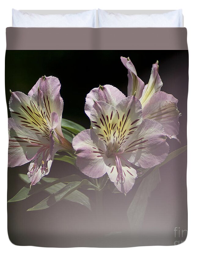 Nature Duvet Cover featuring the photograph A hint of rose by Heiko Koehrer-Wagner