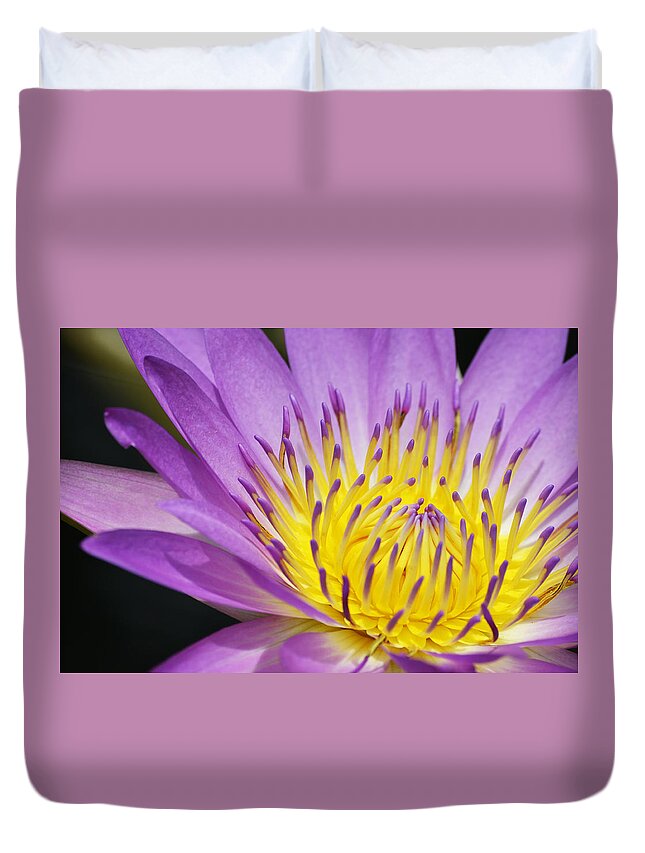 Waterlily Duvet Cover featuring the photograph A Moment Stands Still by Melanie Moraga