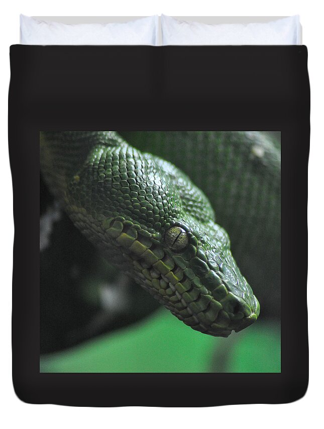 Snake Duvet Cover featuring the photograph A Real Reptile by Trish Tritz