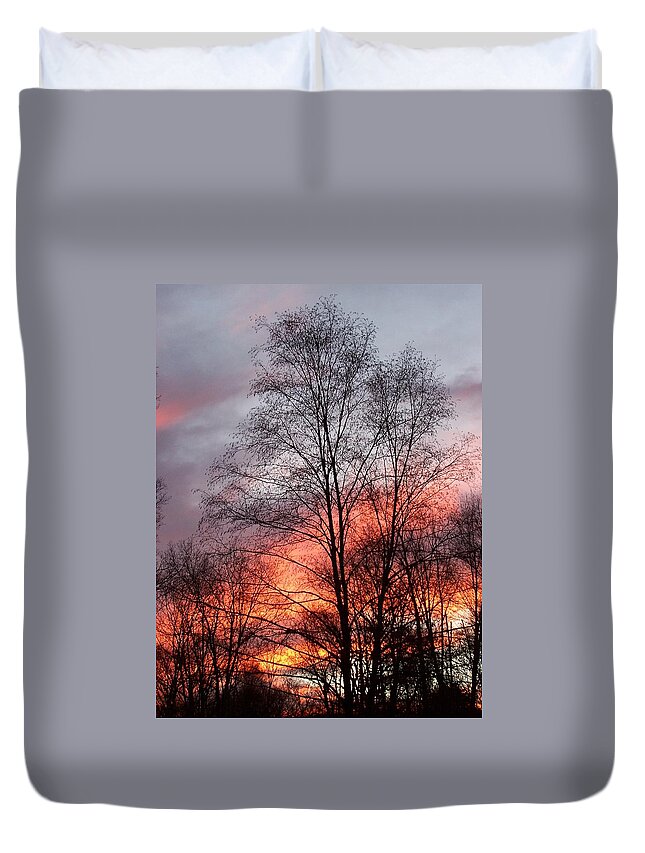 Sunset Duvet Cover featuring the photograph Adding Life To What Has Passed by Kim Galluzzo