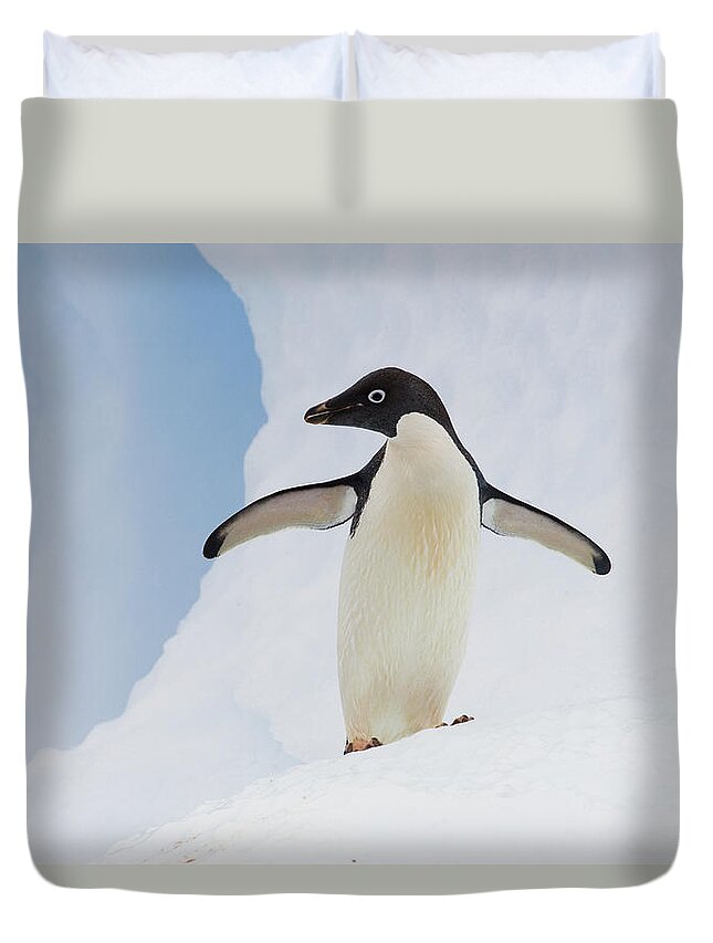00761806 Duvet Cover featuring the photograph Adelie Penguin On Iceberg by Suzi Eszterhas