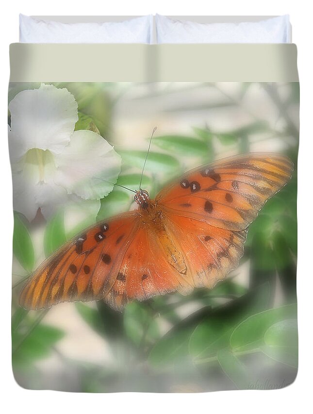 Beauty Duvet Cover featuring the photograph Aesthete by Joseph G Holland