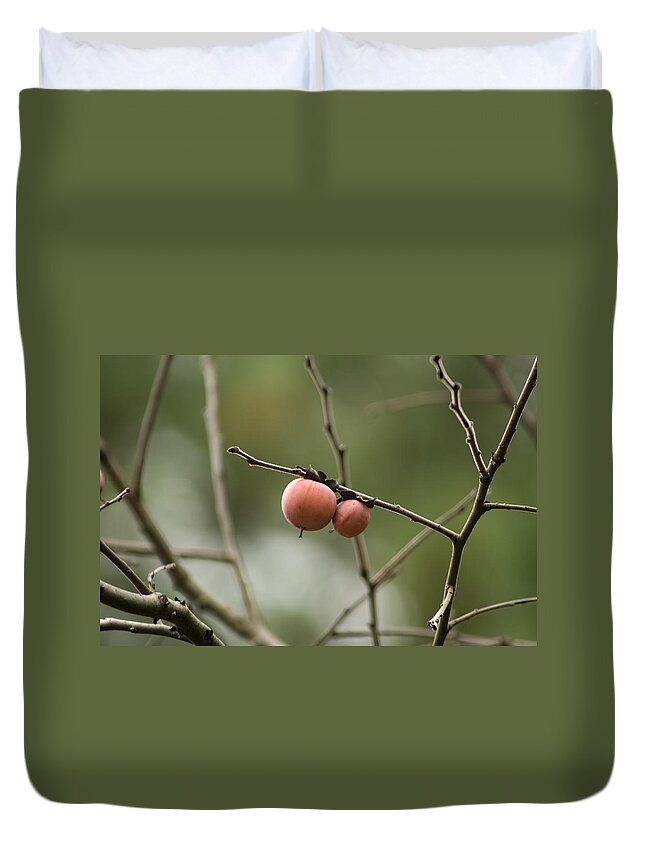 Diospyros Duvet Cover featuring the photograph Alabama Wild Persimmons by Kathy Clark