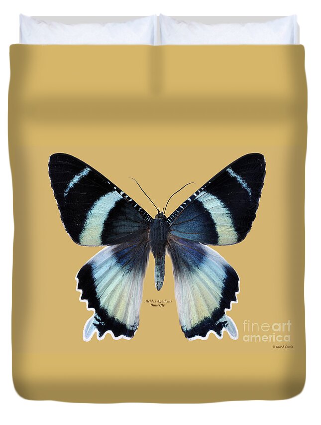 Alcides Agathyus Butterfly Duvet Cover featuring the digital art Alcides Agathyus Butterfly by Walter Colvin