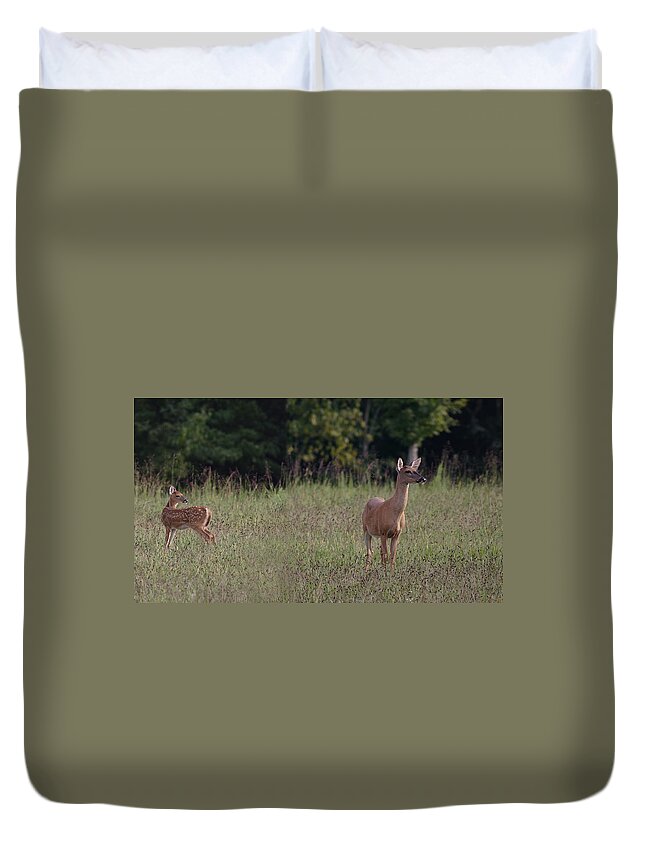 Odocoileus Virginanus Duvet Cover featuring the photograph Alert Doe And Fawn by Daniel Reed