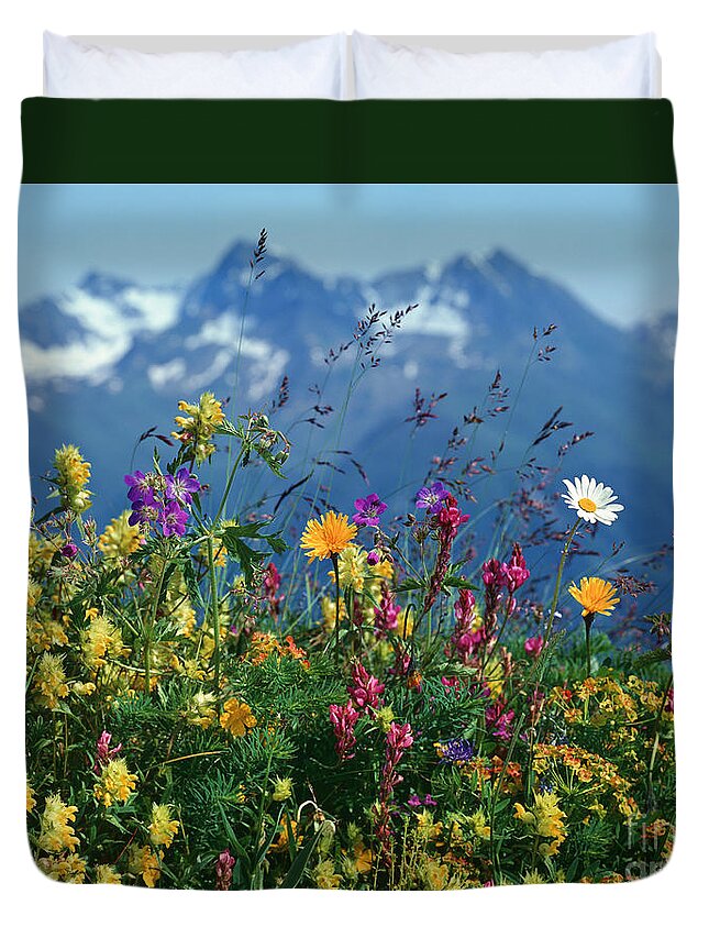 Plant Duvet Cover featuring the photograph Alpine Wildflowers by Hermann Eisenbeiss and Photo Researchers