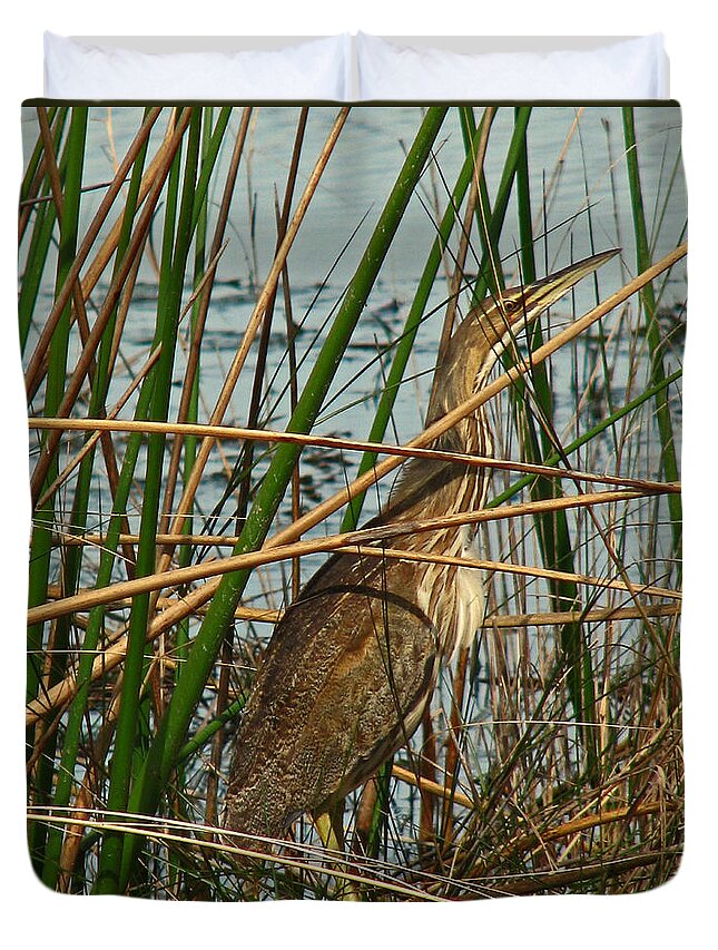 Nature Duvet Cover featuring the photograph American Bittern by Peggy Urban