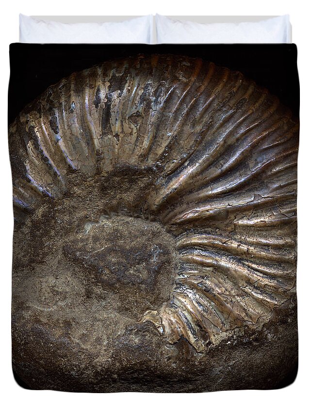 Fossil Duvet Cover featuring the photograph Ammonite Back by David Kleinsasser