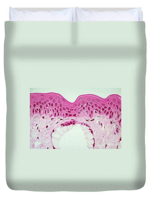 Integument Duvet Cover featuring the photograph Amphiuma Skin by M. I. Walker