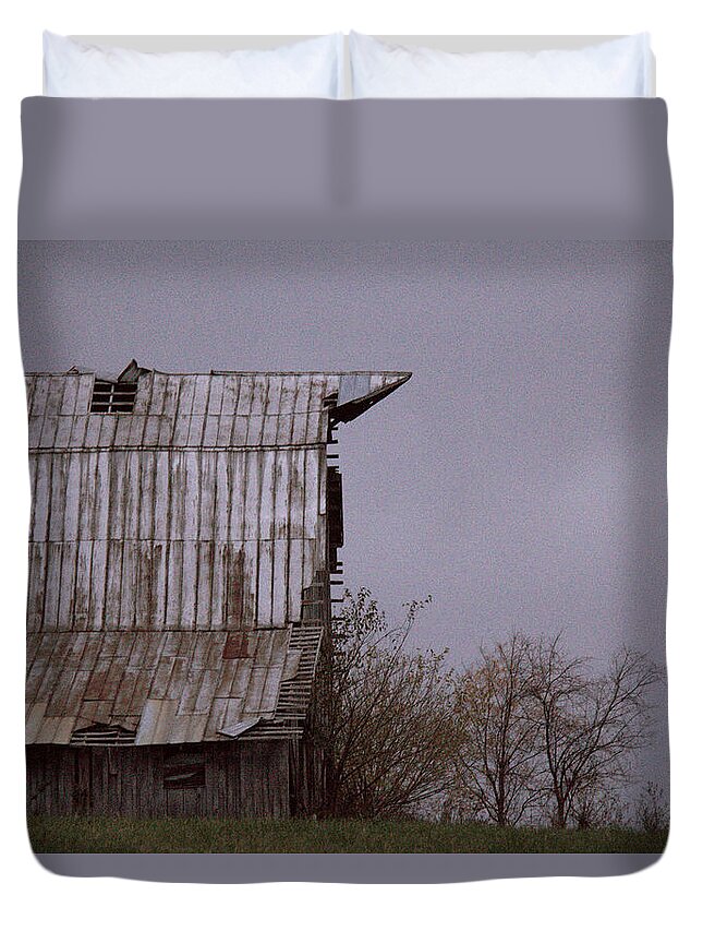 An American Pointer Duvet Cover featuring the photograph An American Pointer by Edward Smith