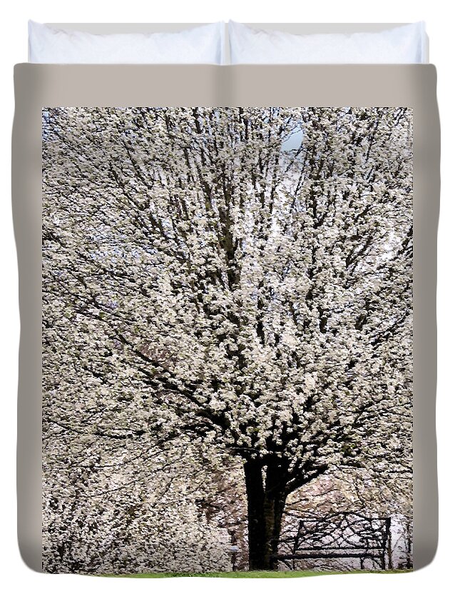 Bradford Pear Duvet Cover featuring the photograph An Explosion of White by Kristin Elmquist