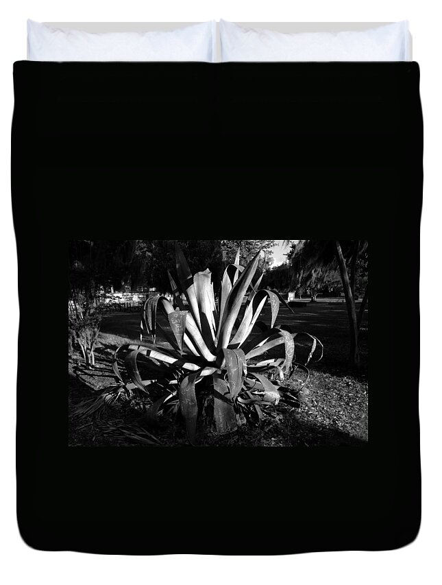 Fine Art Photography Duvet Cover featuring the photograph An old Agave by David Lee Thompson