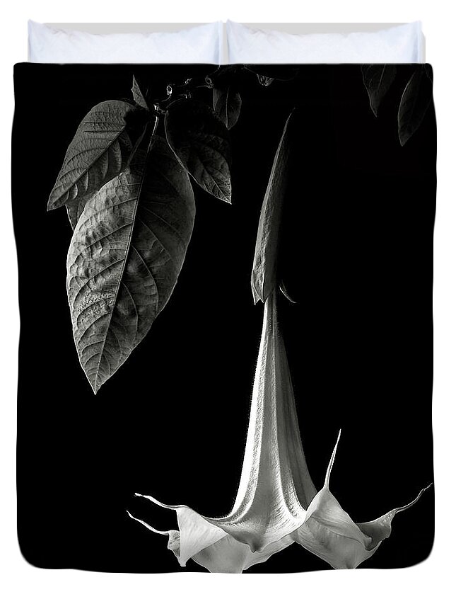Flower Duvet Cover featuring the photograph Angel Trumpet in black and White by Endre Balogh