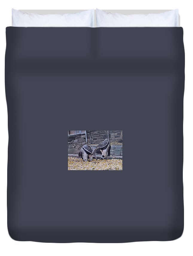 Animals Duvet Cover featuring the photograph Anteaters by Donna Brown